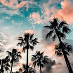 hofer_lyn - @maryhofer - Instagram