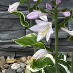 Mary Kay Hofer - @marykhof - Instagram