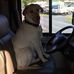 Mary Hoffert - Facebook