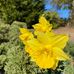 Mary Lou Hoffert - Facebook