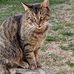 Mary Hoofner - Facebook