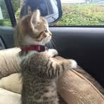 Mary Hoffman - Facebook