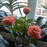 Mary_Hofman - @mary_hofman - Instagram