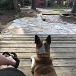 Mary Hole - @goosedog333 - Instagram