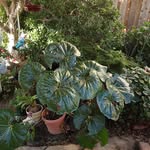 Mary Hole - @mary.hole.7 - Instagram
