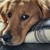 Mary Holtz - Facebook
