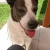 Marion Hommel Wegner - @marion.hommel.weg - TikTok