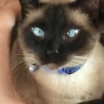 Mary Ann Hoopes - @maryann.hoopes.31 - Instagram