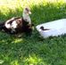 Mary Hoopes - Facebook
