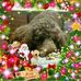 Mary Hopkinson - Facebook