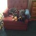 Mary Horrell - Facebook