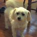 Mary Horrell - Facebook