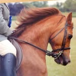 Mary Howden - @mary.howden2 - Instagram
