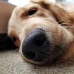 Mary Hauenstein - @maryhowie78 - Instagram