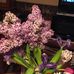 Mary Ellen Hritz - Facebook