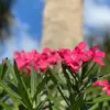 maryj.huffaker - @maryj.huffaker - TikTok