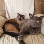 Mary Ann Hulbert - @maryannhulbert - Instagram