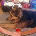 Mary Hulbert - Facebook