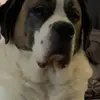 Mary Hulbert - @emoji._.hypehouse312 - TikTok