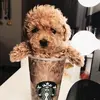 Mary Shuman - @mary.shuman3 - TikTok
