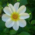 Mary Humberstone - @themaryhumberstone - Instagram
