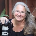 Mary Hurlbut - @lagunabeachphotographer - Instagram