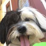Mary Allen Husted - @husted178 - Instagram