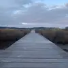 maryingham87 - @maryingham87 - TikTok