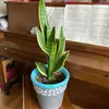 Mary Ivan - @mary.ivan0 - TikTok