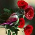 Mary Jacinto - Facebook