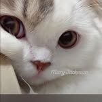 Mary Jackman - @mary.jackman.984 - Instagram