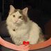 Mary R Jahnke - Facebook
