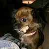 user1293504507114 - @maryjanewayne - TikTok