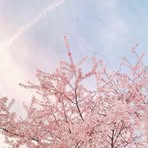 Mary Jang - Facebook