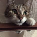 maryjang - @maryjangggg - Instagram