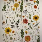 Mary Jaye - @fleurishherbaria - Instagram