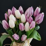 Mary Jefferies - @bloomsfortwo - Instagram