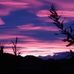 Mary Jessop - Facebook