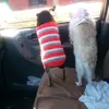 Mary Jorgenson - @mary.jorgenson - TikTok