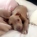 Mary Jorgenson - Facebook