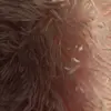 Mary Jorgenson - @maryjorgenson8 - TikTok