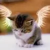 Mary Joss - @mary.joss0 - TikTok
