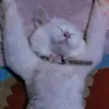maryyy - @mary.jupiter.c - TikTok