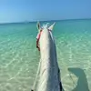 Maryam kandel - @maryamkandel166 - TikTok