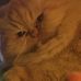 Mary Kannenberg - Facebook