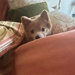 Mary Ann Karns - @karnsmaryann - Instagram