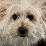 Mary Jessica - @marykaspar2981 - Instagram