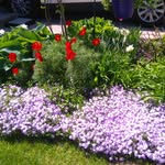 Mary Kearse - @mrdempseykearse - Instagram
