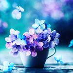 Mary Lou Keech - @maryloukeech - Instagram