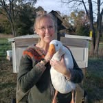 Mary & Brian Keeter - @harmonyhillsfarmmo - Instagram